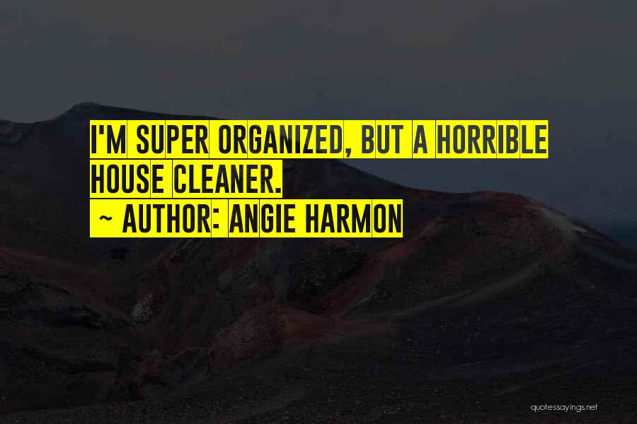 Angie Harmon Quotes 534243