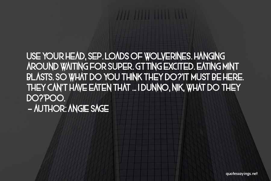 Angie Sage Quotes 1508132