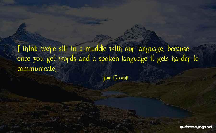 Angkara Lirik Quotes By Jane Goodall Angkara Lirik Quotes By Jane Goodall