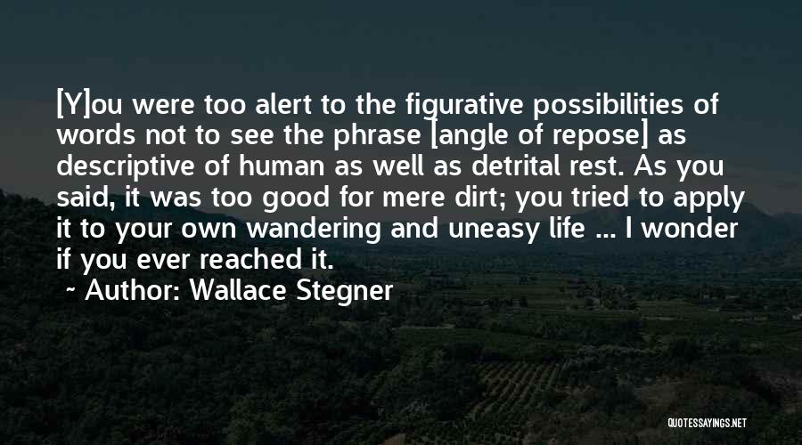 Angle Of Repose Quotes By Wallace Stegner