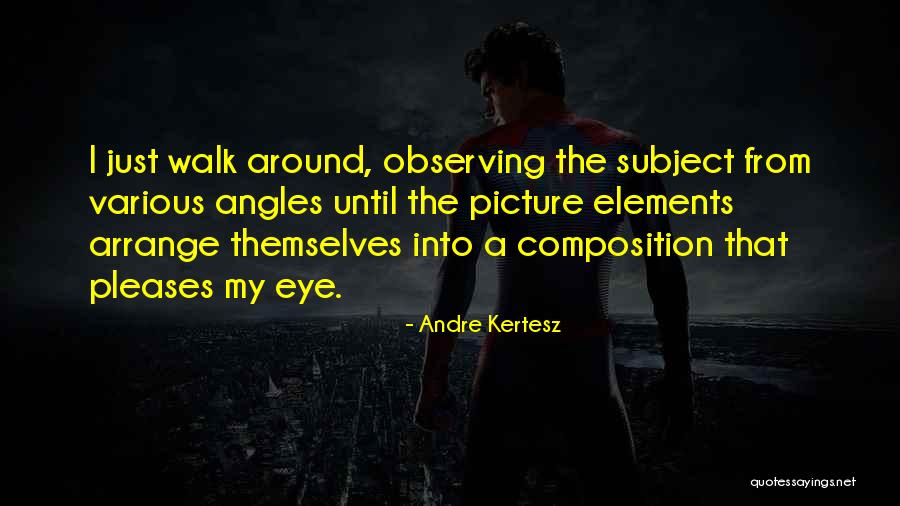 Angle Quotes By Andre Kertesz Angle Quotes By Andre Kertesz