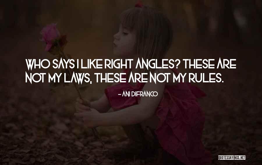 Angle Quotes By Ani DiFranco Angle Quotes By Ani DiFranco