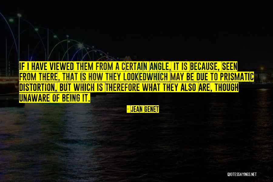 Angle Quotes By Jean Genet Angle Quotes By Jean Genet