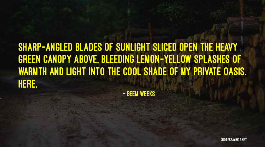 Angled Quotes By Beem Weeks Angled Quotes By Beem Weeks