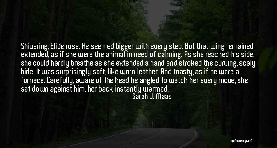 Angled Quotes By Sarah J. Maas Angled Quotes By Sarah J. Maas