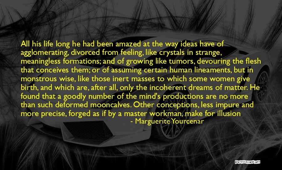 Angles Of Life Quotes By Marguerite Yourcenar Angles Of Life Quotes By Marguerite Yourcenar
