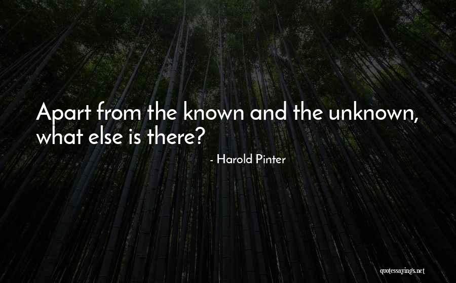 Anglicize Name Quotes By Harold Pinter Anglicize Name Quotes By Harold Pinter