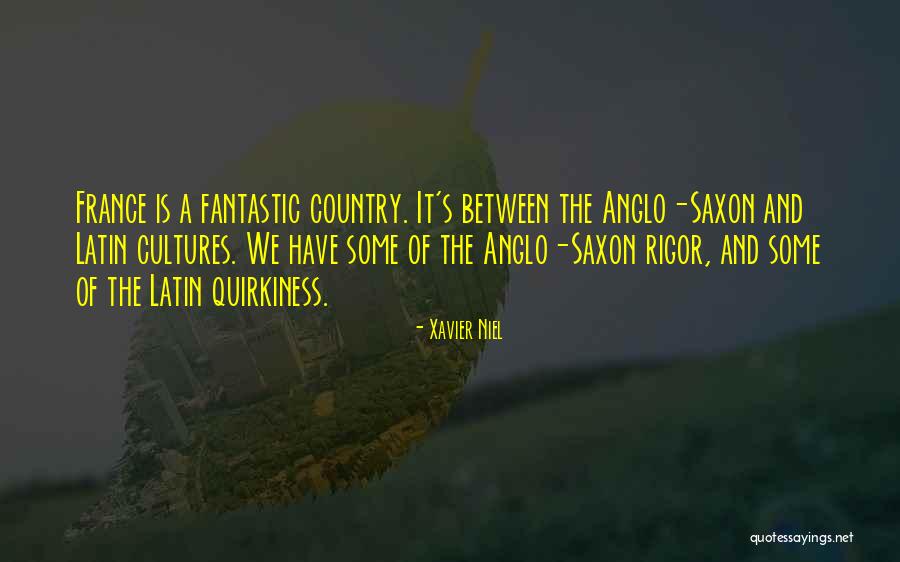 Anglo Saxon Quotes By Xavier Niel Anglo Saxon Quotes By Xavier Niel