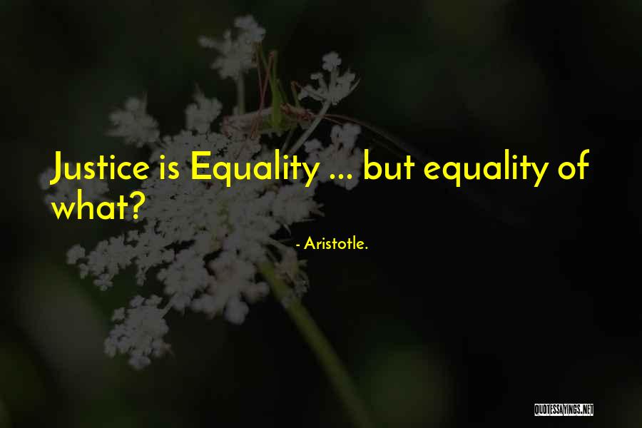 Anglophone Crisis Quotes By Aristotle.