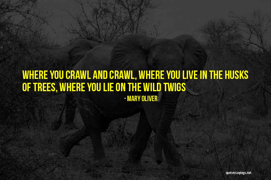 Angolas Capital Quotes By Mary Oliver Angolas Capital Quotes By Mary Oliver