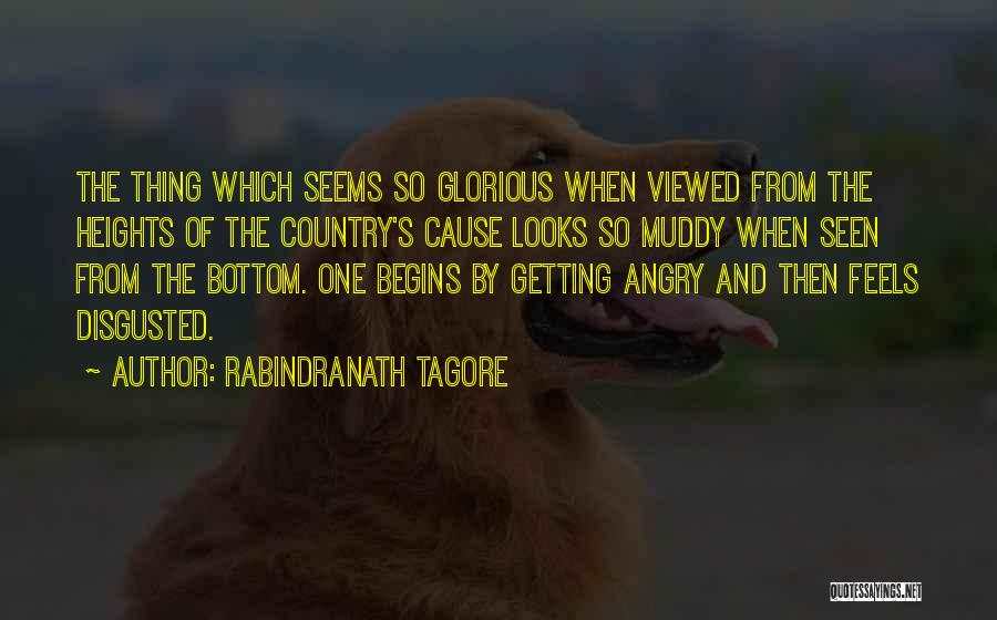 Angry And Disgusted Quotes By Rabindranath Tagore