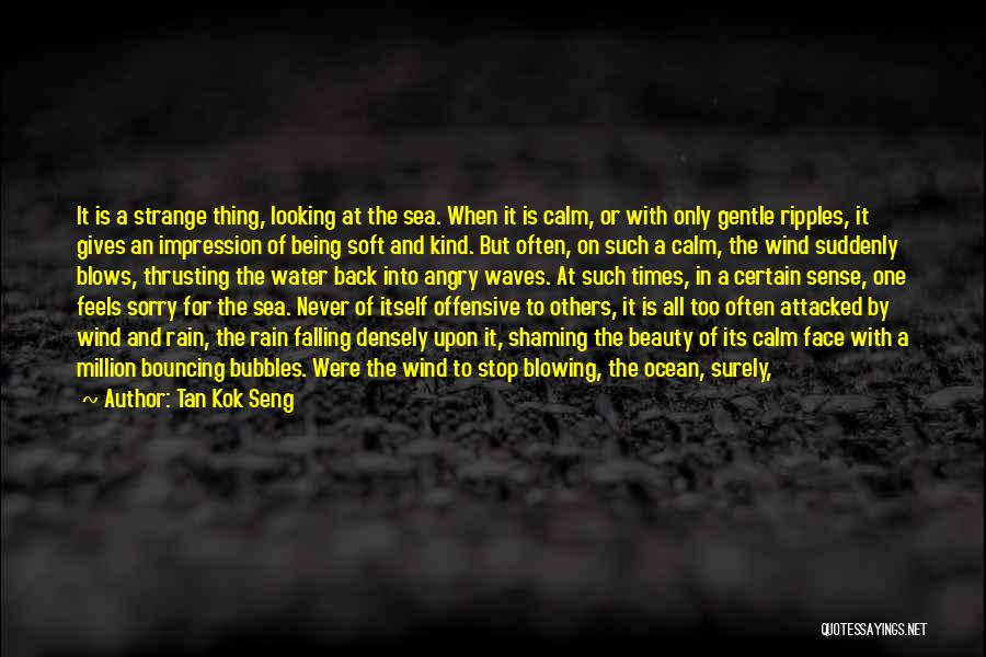 Angry And Sorry Quotes By Tan Kok Seng