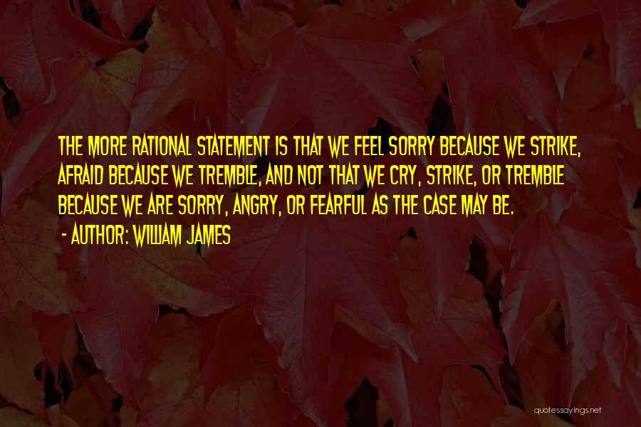 Angry And Sorry Quotes By William James