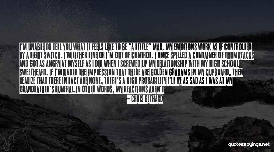 Angry At Myself Quotes By Chris Gethard Angry At Myself Quotes By Chris Gethard
