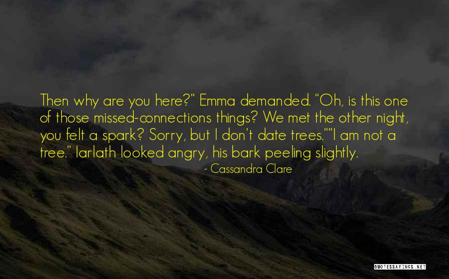 Angry But Sorry Quotes By Cassandra Clare