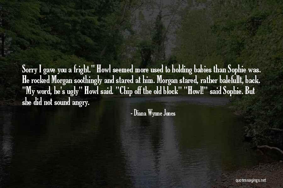 Angry But Sorry Quotes By Diana Wynne Jones