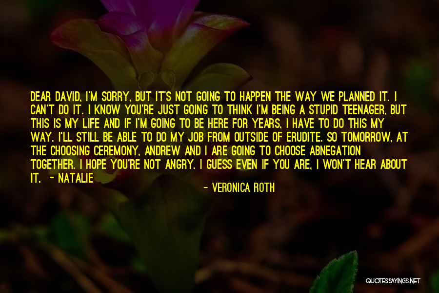 Angry But Sorry Quotes By Veronica Roth