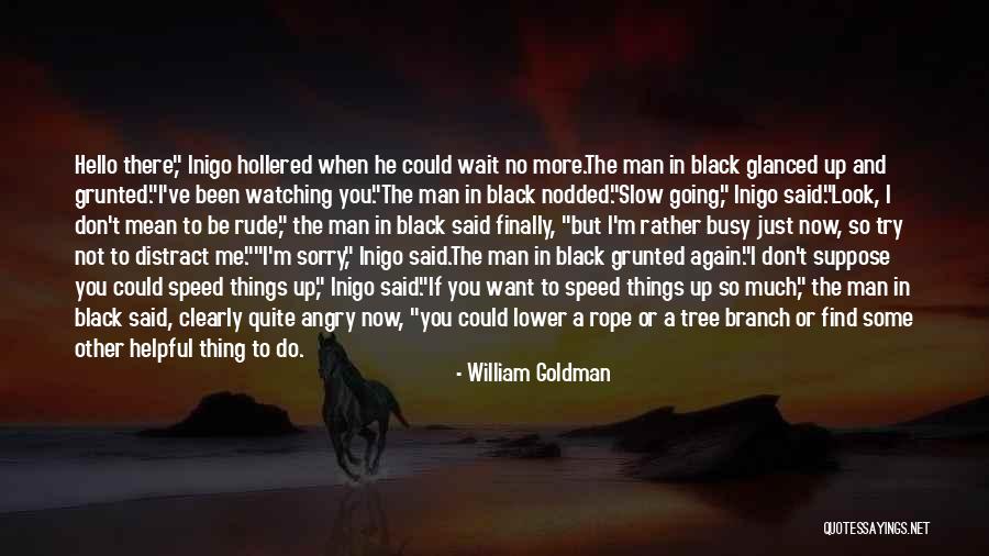 Angry But Sorry Quotes By William Goldman