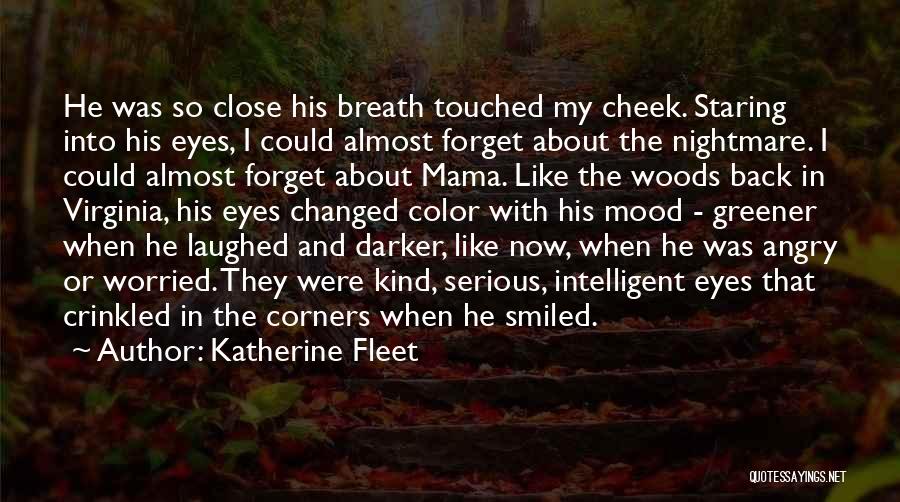 Angry Eyes Quotes By Katherine Fleet