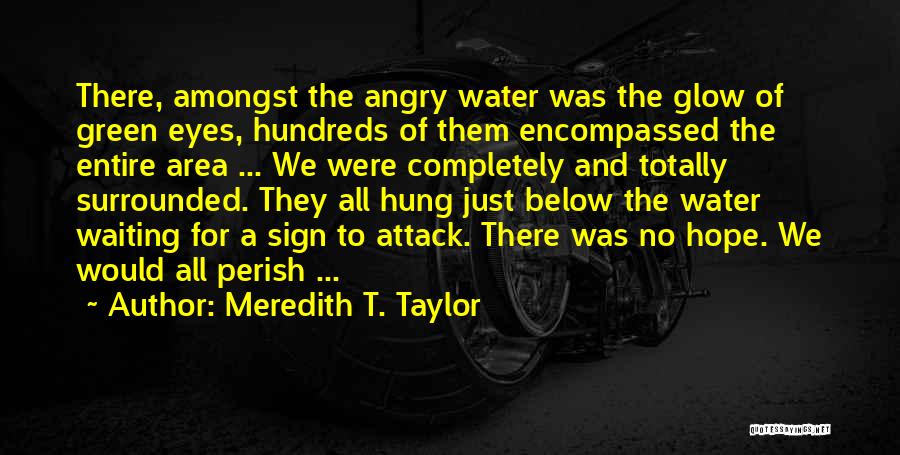 Angry Eyes Quotes By Meredith T. Taylor