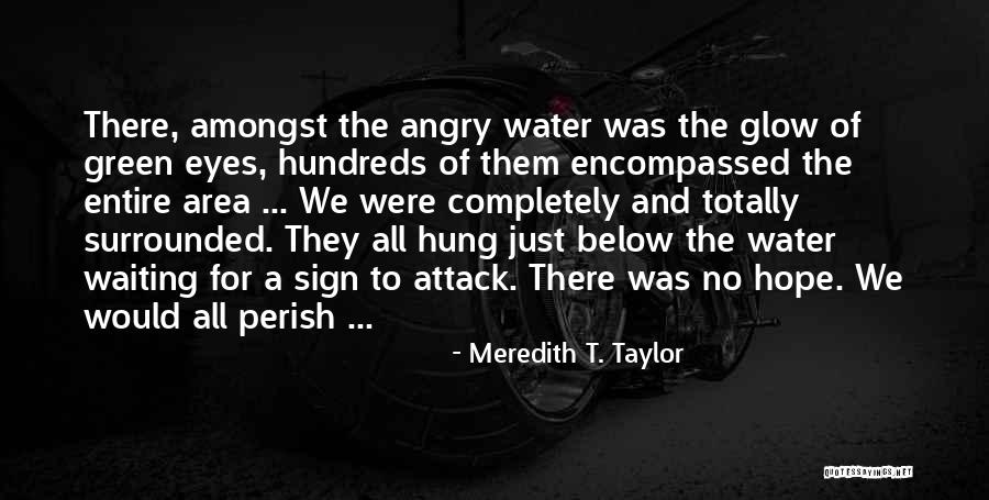 Angry Love Quotes By Meredith T. Taylor