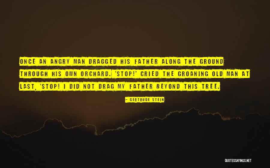 Angry Old Man Quotes By Gertrude Stein Angry Old Man Quotes By Gertrude Stein