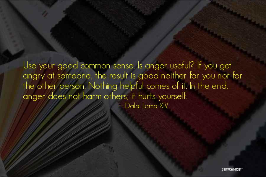 Angry Person Quotes By Dalai Lama XIV