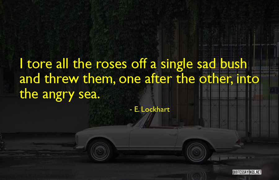 Angry Sea Quotes By E. Lockhart Angry Sea Quotes By E. Lockhart