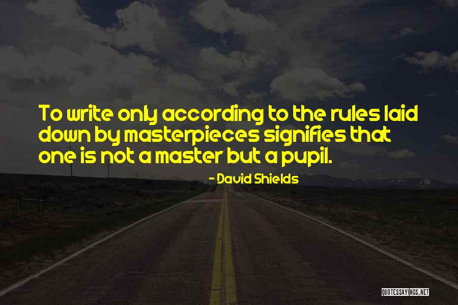 Angstige Kinderen Quotes By David Shields Angstige Kinderen Quotes By David Shields