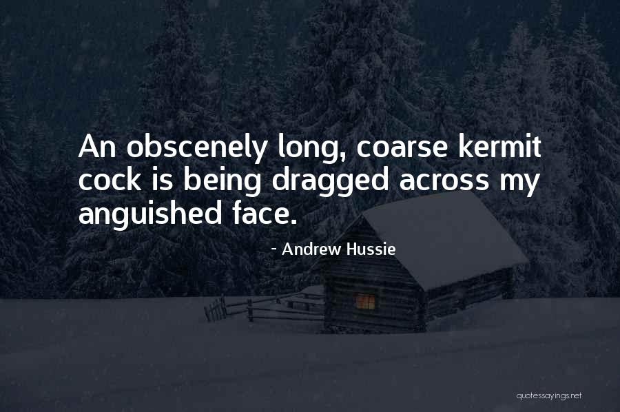 Anguish Quotes By Andrew Hussie