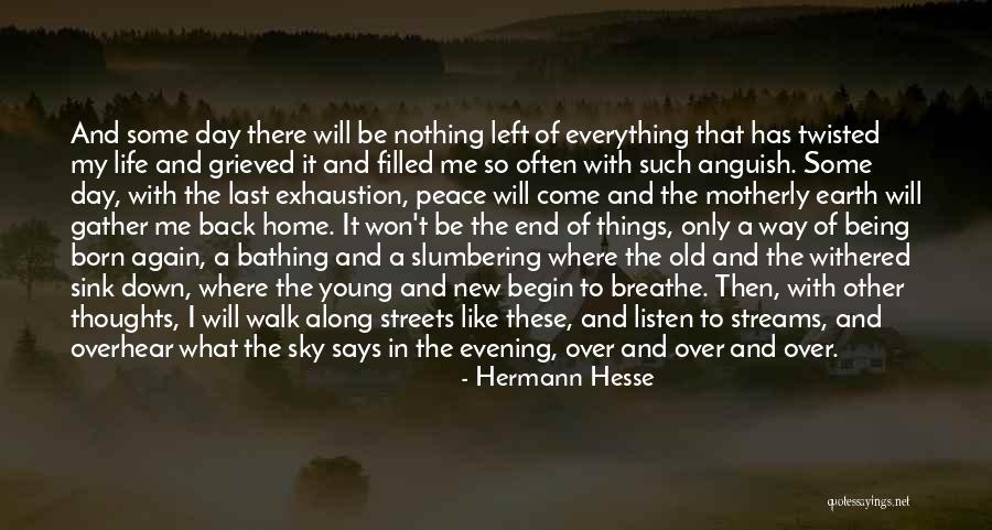 Anguish Quotes By Hermann Hesse