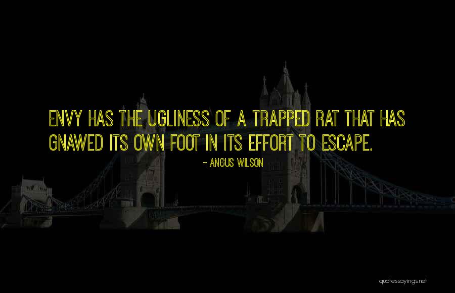 Angus Quotes By Angus Wilson Angus Quotes By Angus Wilson