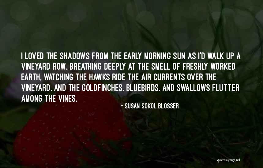 Angustiados En Quotes By Susan Sokol Blosser Angustiados En Quotes By Susan Sokol Blosser