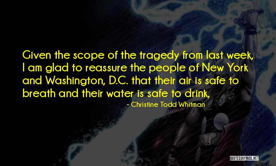 Anhang Quotes By Christine Todd Whitman