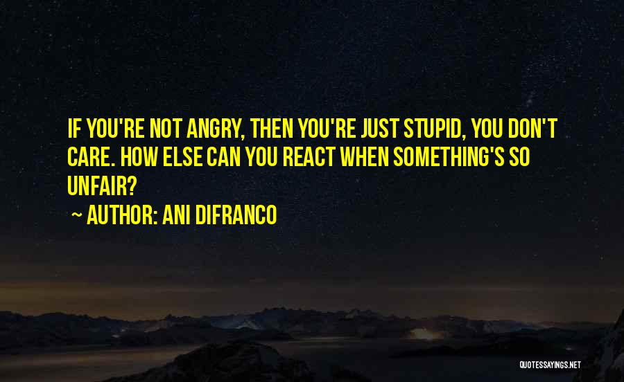 Ani DiFranco Quotes 1385083