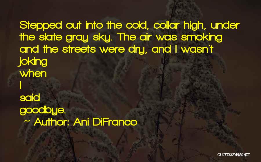 Ani DiFranco Quotes 1434183