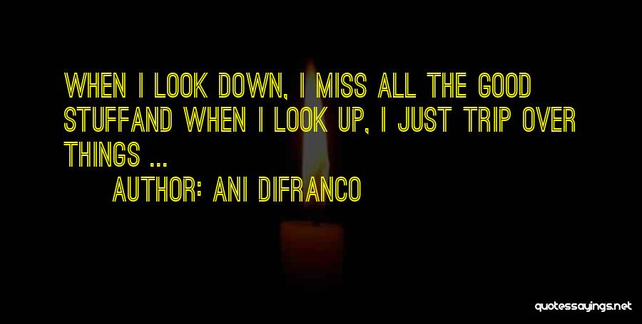 Ani DiFranco Quotes 776677