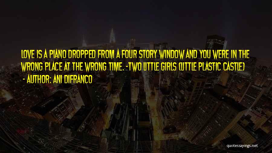 Ani DiFranco Quotes 872275