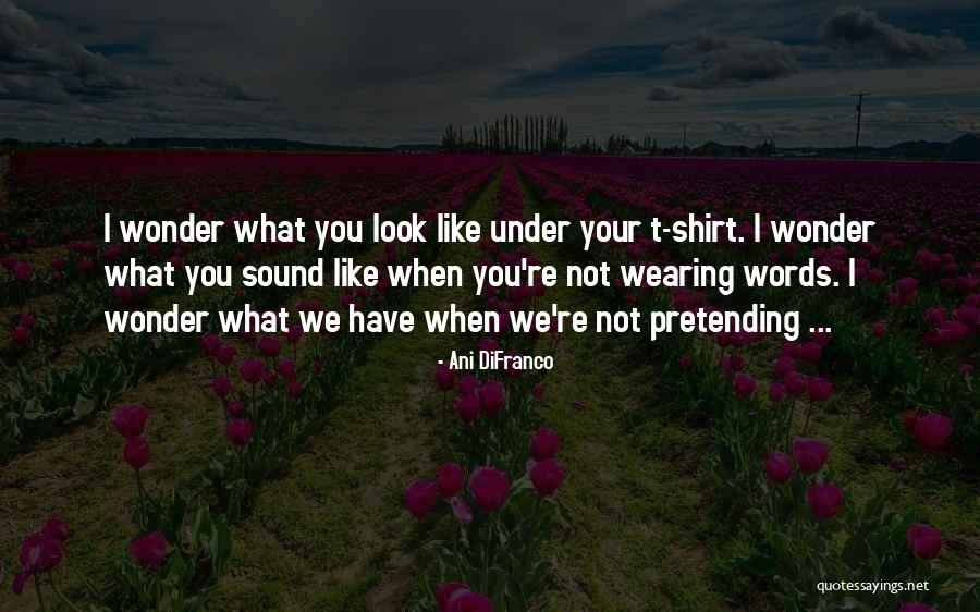 Ani Quotes By Ani DiFranco Ani Quotes By Ani DiFranco