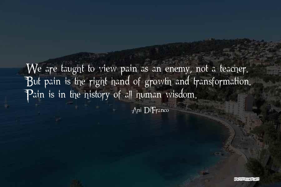 Ani Quotes By Ani DiFranco Ani Quotes By Ani DiFranco