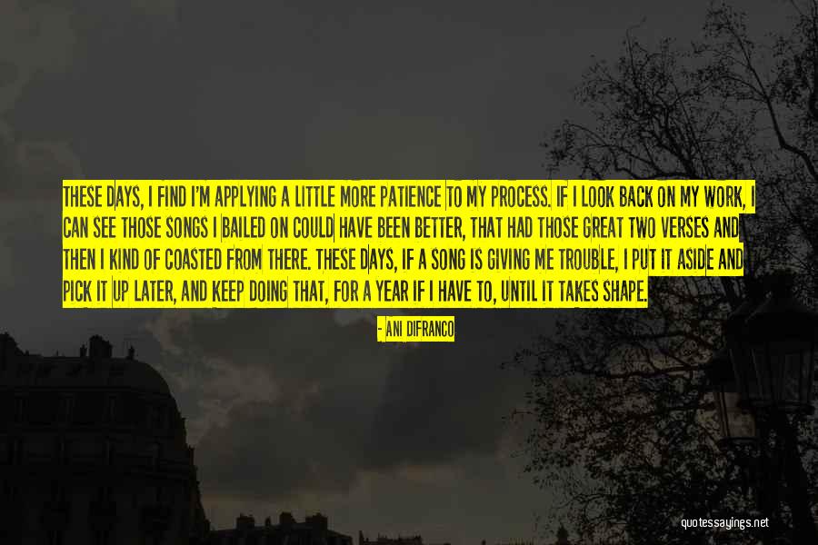 Ani Quotes By Ani DiFranco Ani Quotes By Ani DiFranco