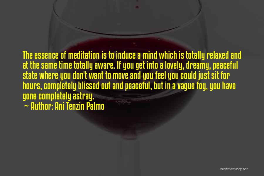 Ani Tenzin Palmo Quotes 1121319