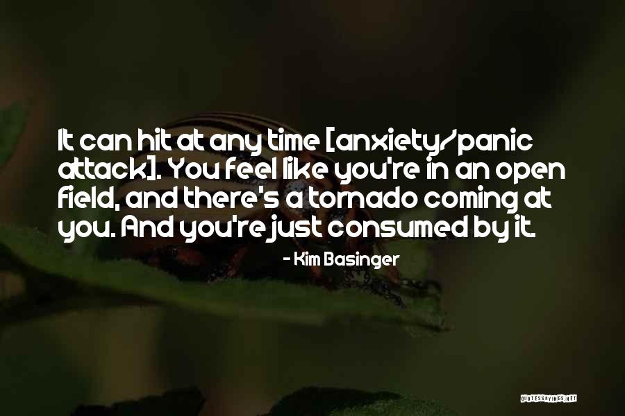 Anichini Brothers Quotes By Kim Basinger Anichini Brothers Quotes By Kim Basinger