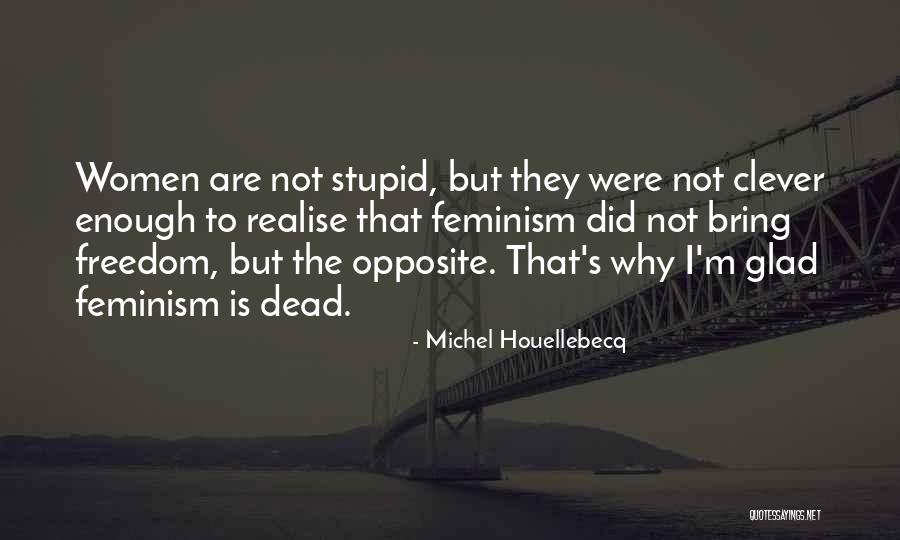 Aniconic Representation Quotes By Michel Houellebecq Aniconic Representation Quotes By Michel Houellebecq
