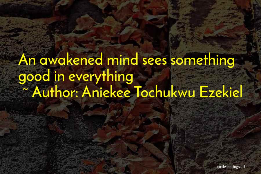 Aniekee Tochukwu Ezekiel Quotes 1156829