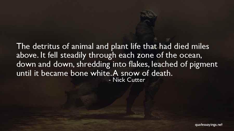 Anilorok Quotes By Nick Cutter Anilorok Quotes By Nick Cutter