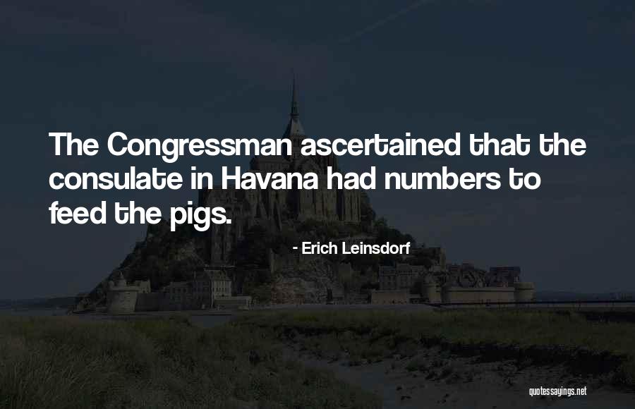 Animacion Sociocultural Quotes By Erich Leinsdorf Animacion Sociocultural Quotes By Erich Leinsdorf