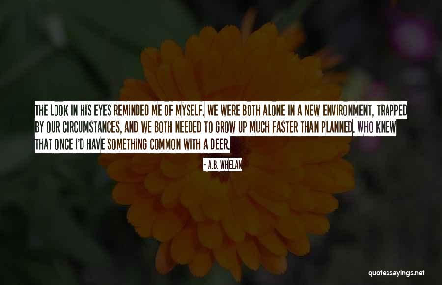 Animadversions Quotes By A.B. Whelan Animadversions Quotes By A.B. Whelan