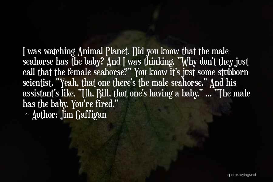 Animal And Baby Quotes By Jim Gaffigan