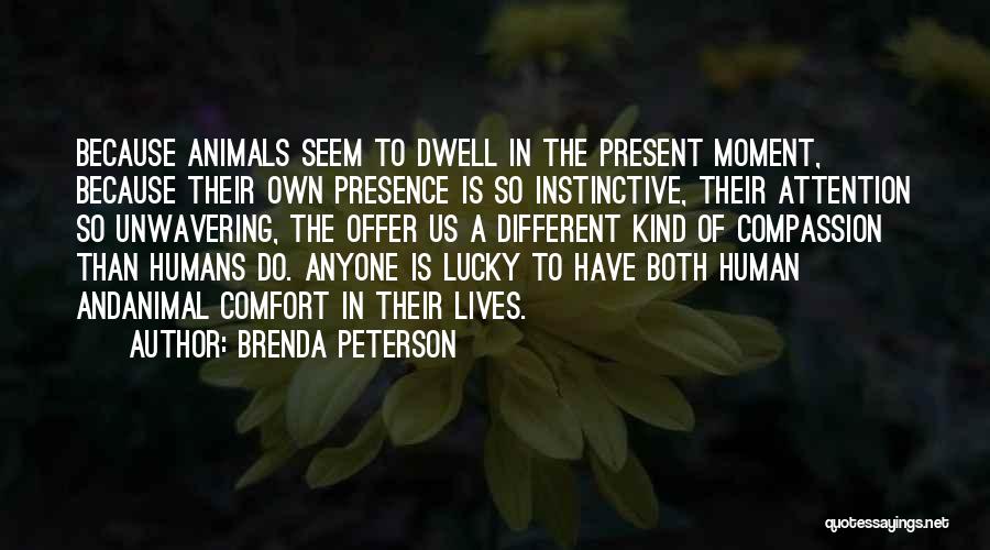 Animal And Humans Quotes By Brenda Peterson